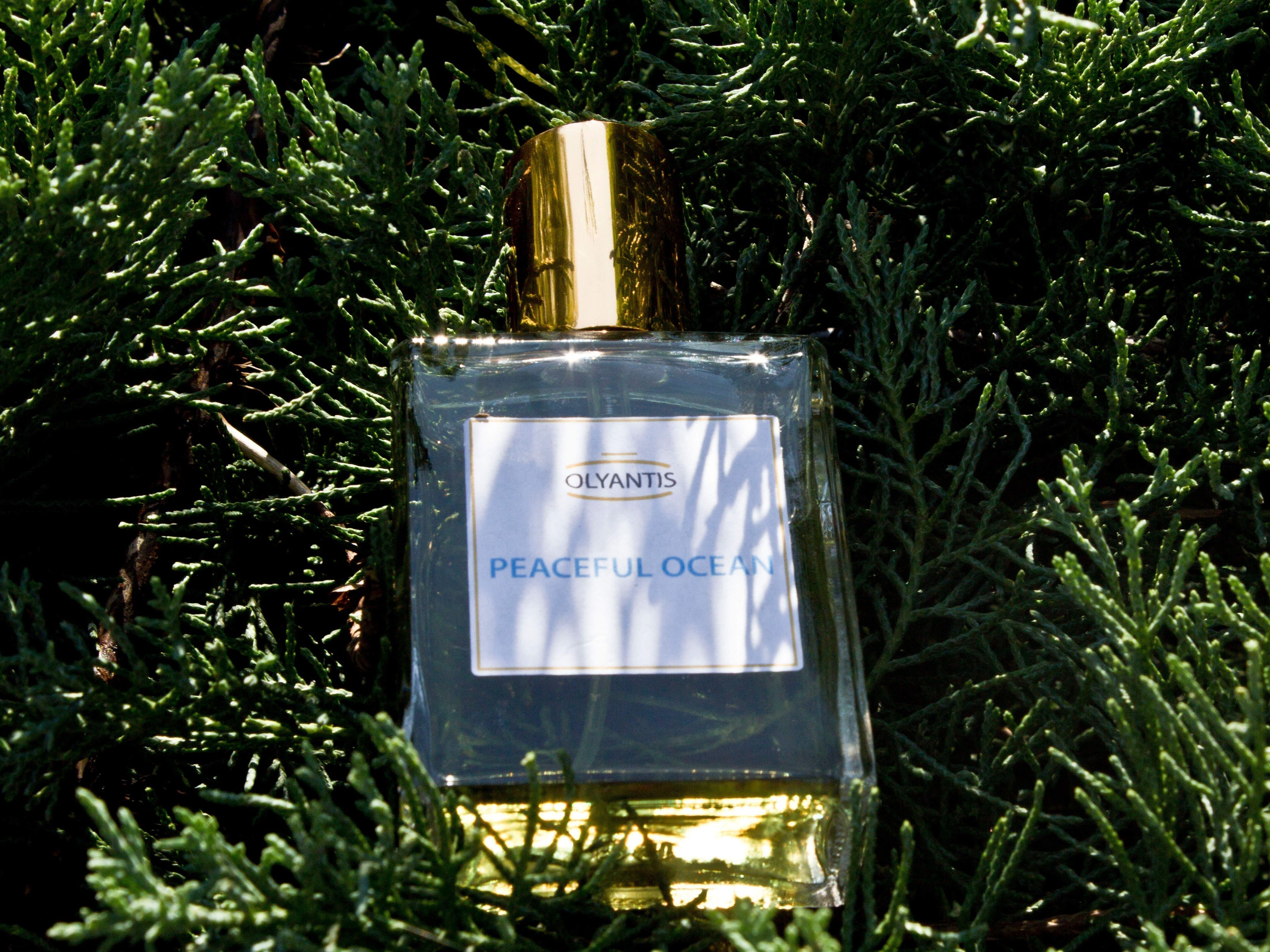 Peaceful Ocean 60 ml perfume flat on cedar branches.